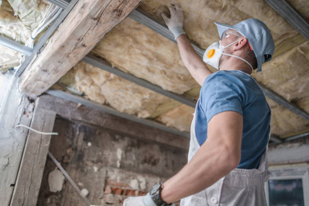 Best Insulation Replacement Services  in Sheldon, TX