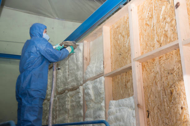 Best Fiberglass Insulation  in Sheldon, TX